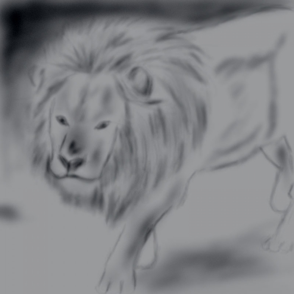 Creation of Run.....Its a lion......: Step 8